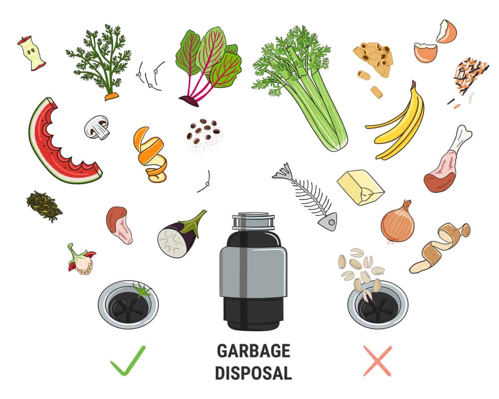 What Food Scraps Can I Put In My Garbage Disposal