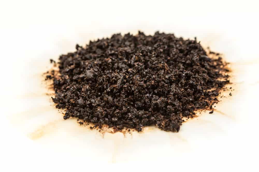 Are Coffee Grounds OK For The Garbage Disposal