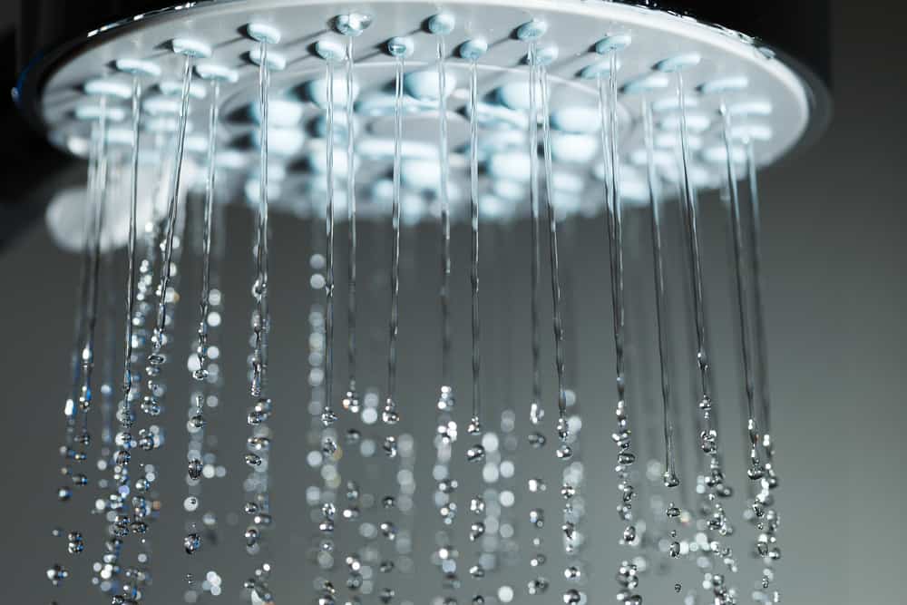 Rain Shower Head