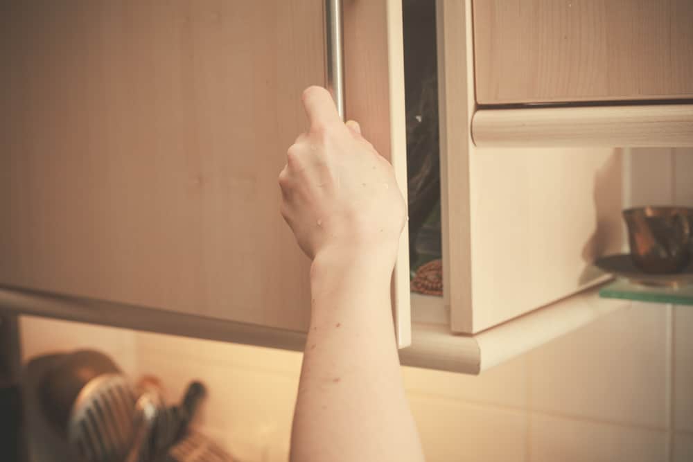 Wood Kitchen Cabinets