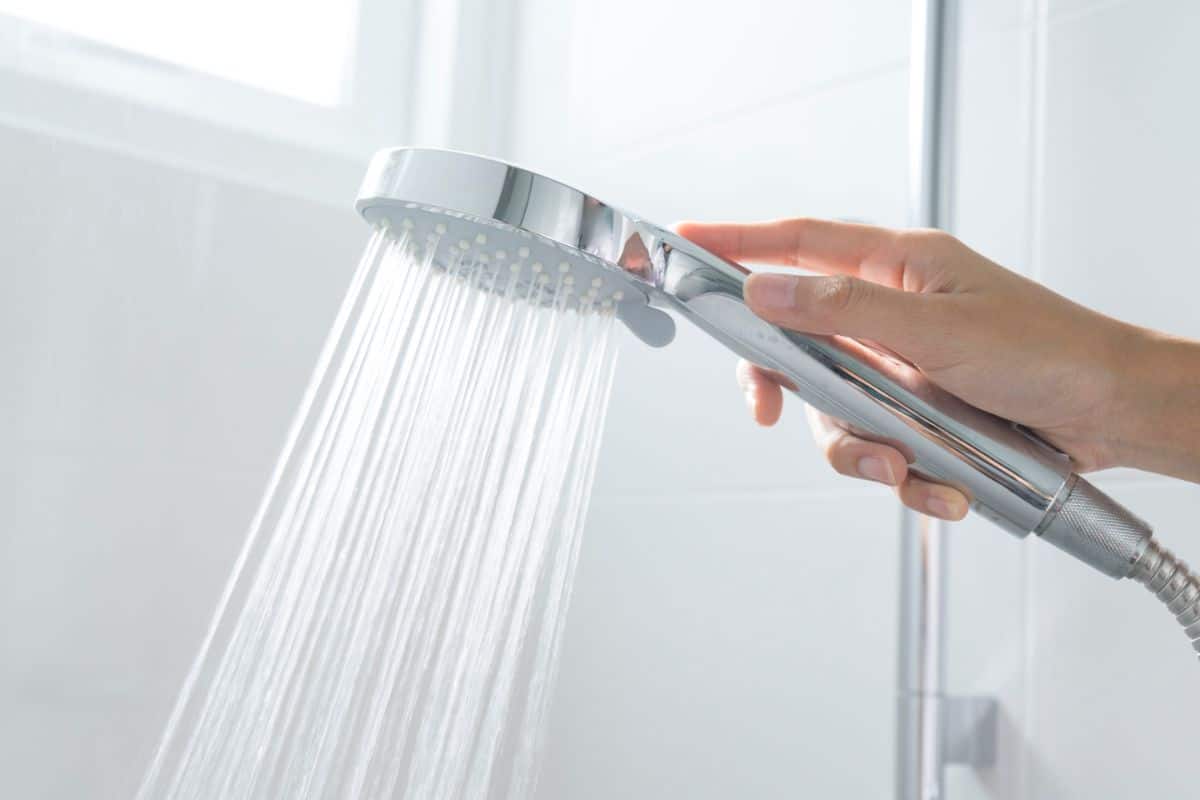 Best Delta Shower Head with Handheld Combo