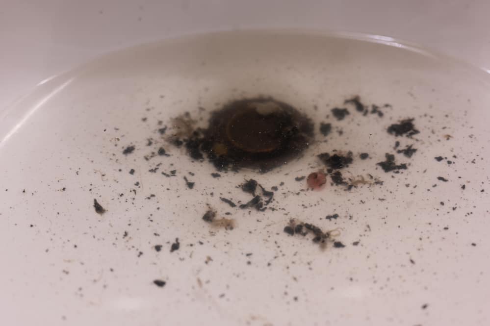 Why Do My Drains Back Up When It Rains