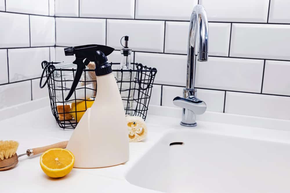 Kitchen Sink with Lemon and Spray Bottle