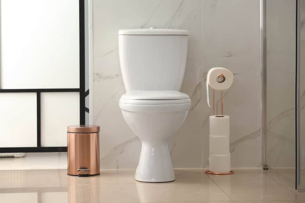 Modern Bathroom Toilet