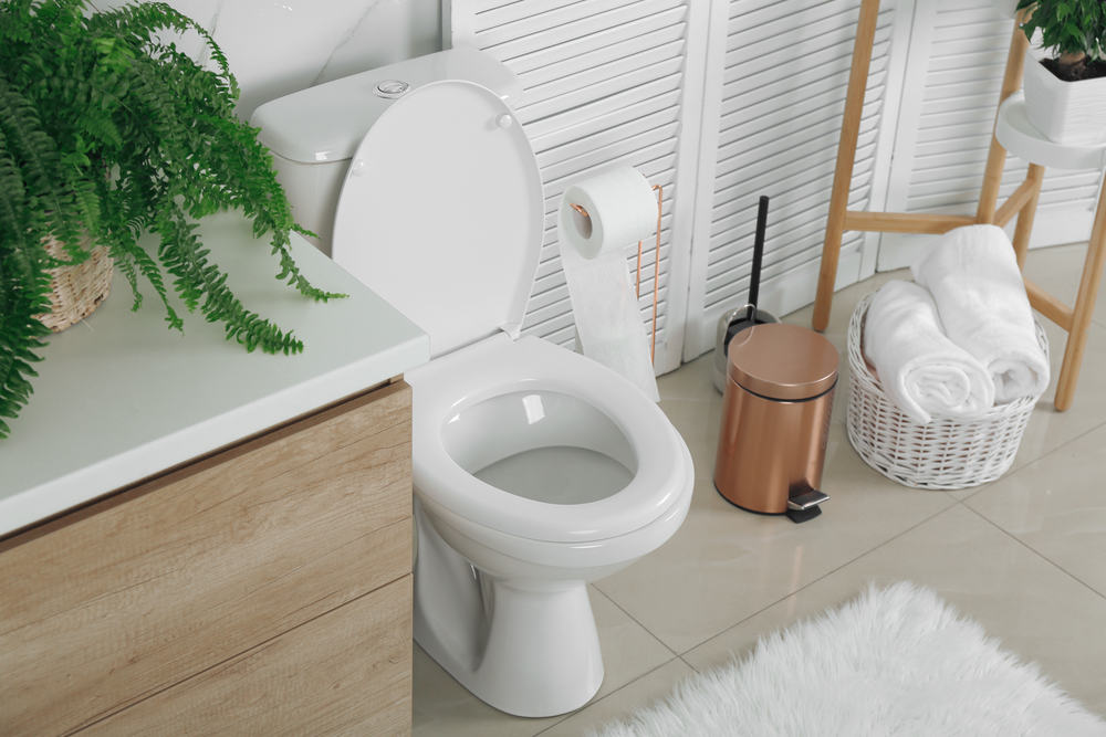 Stylish Bathroom Toilet